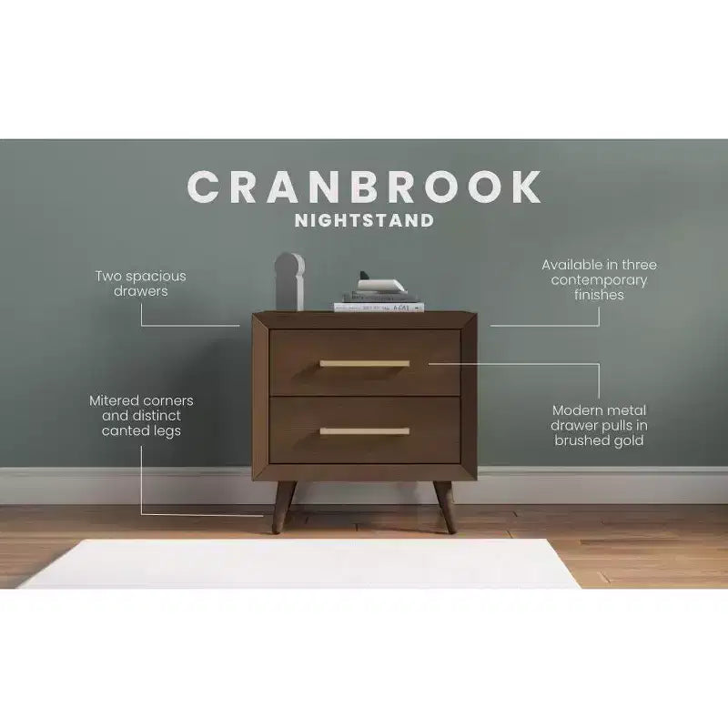 Comodino a 2 cassetti per Cameretta o Camera da letto, Cassetti ampi per contenere, Realizzato in robusto legno di pino, Finitura atossica e sicura per i bambini